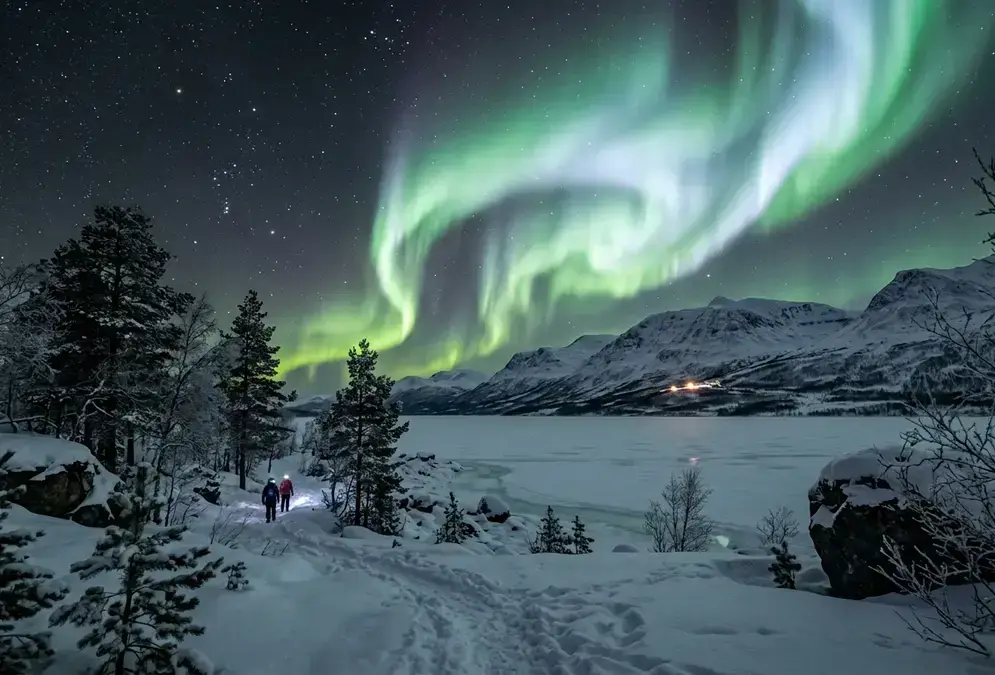 Green and pale aurora curtains over Lake Torneträsk near Abisko's Aurora Sky Station at magnetic midnight, snow and dark pines in the foreground, the scene behind every Abisko stargazing FAQ about season and booking