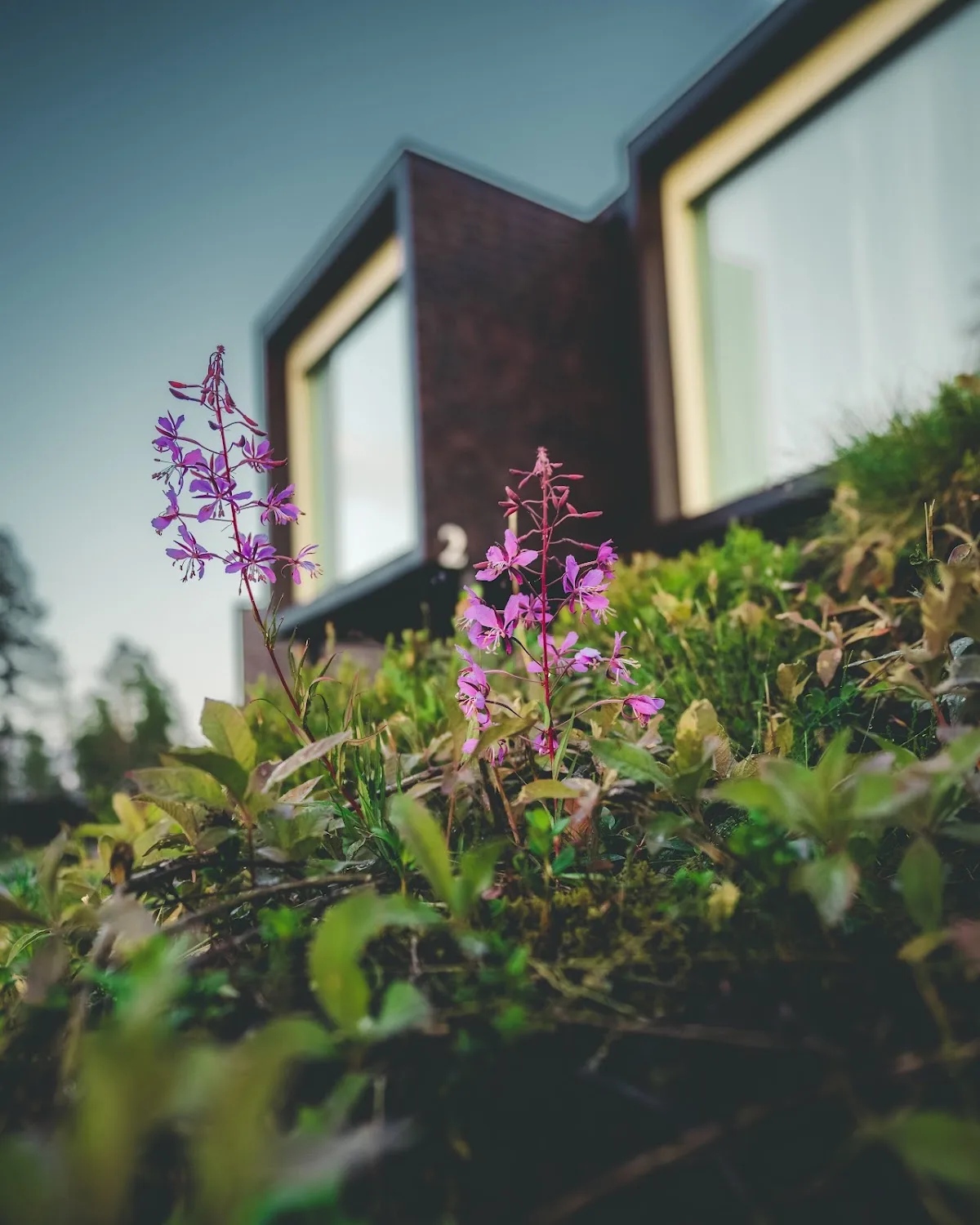 Arctic TreeHouse Hotel — photo 1 of 5