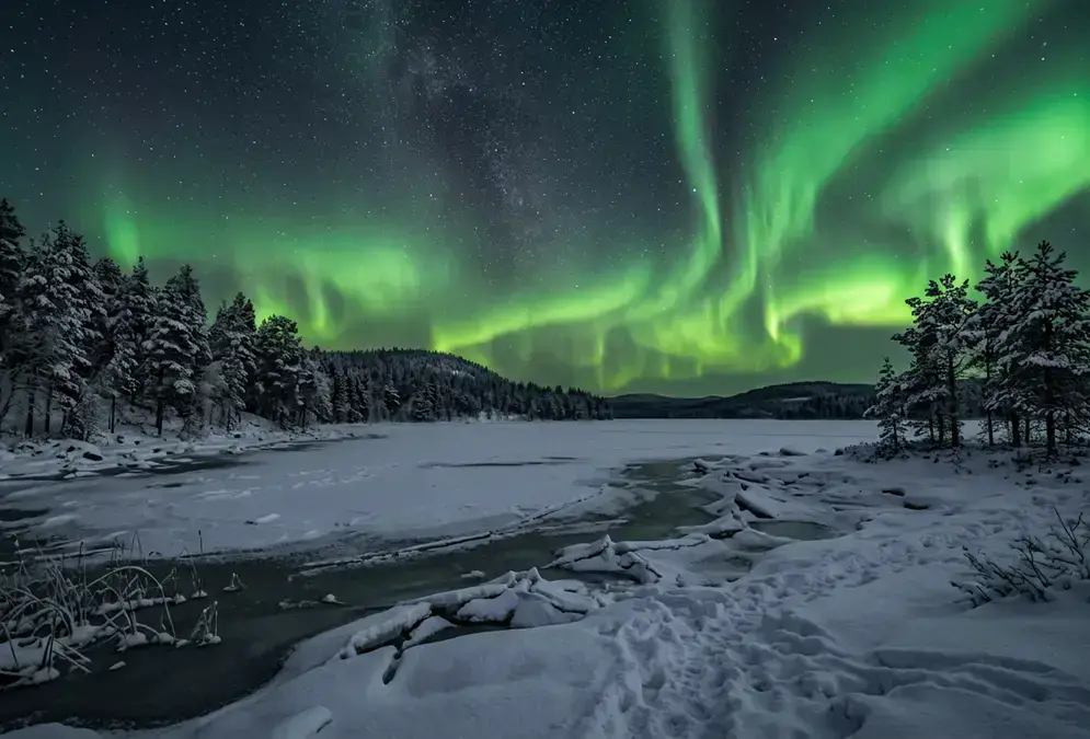 Green aurora borealis over the frozen shore of Lake Inari in Finnish Lapland, snow-covered pine silhouettes and starlit Arctic sky, one of the best northern lights spots in Lapland