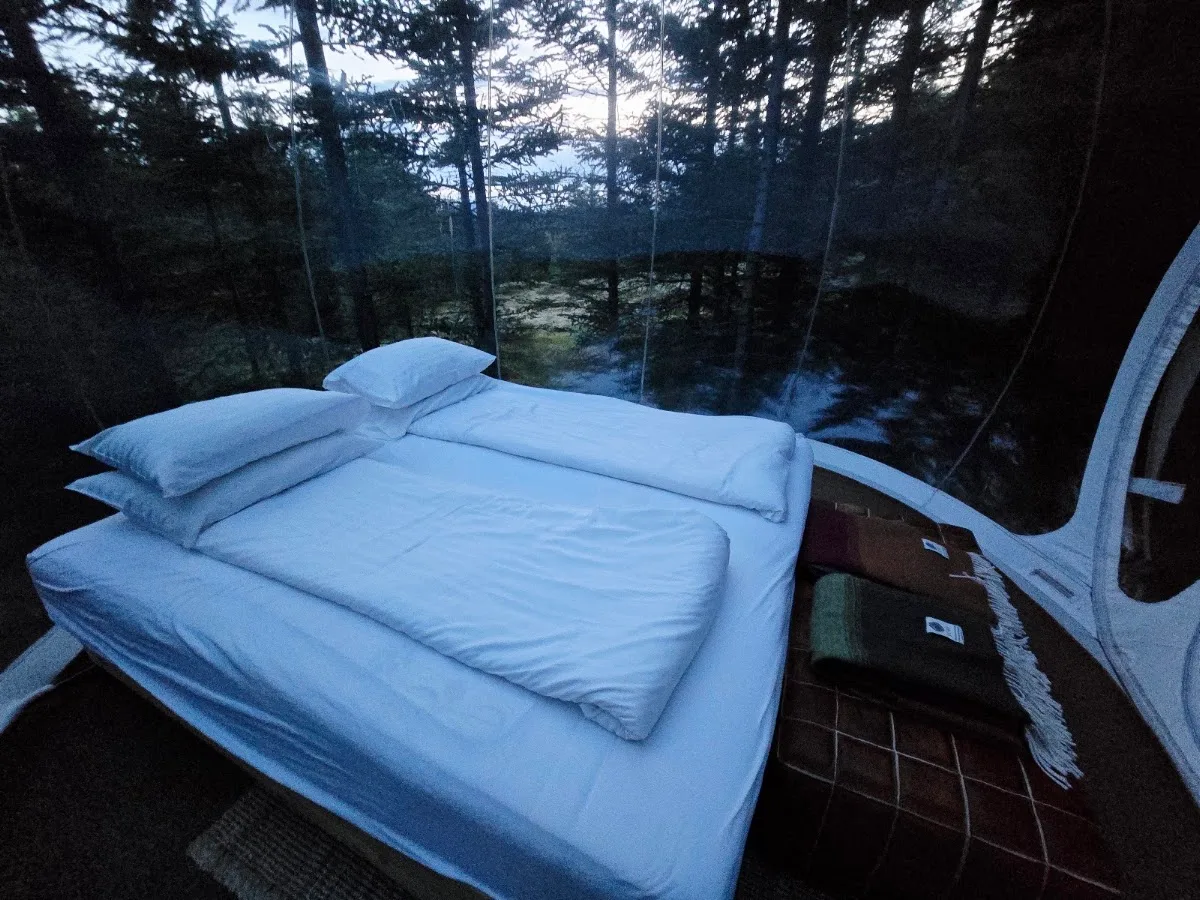Buubble Ölvisholt Bubble Hotel — photo 5 of 5