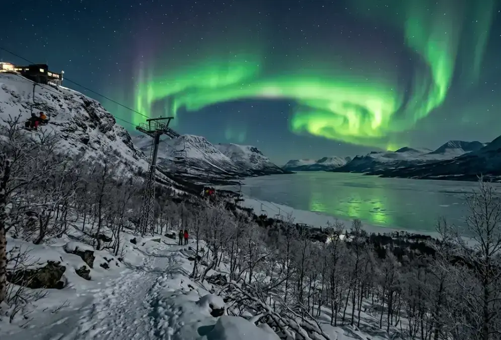 Is Abisko worth it for the northern lights: aurora borealis glowing green over Lake Torneträsk near the Aurora Sky Station chairlift, snow-dusted birch forest in the foreground, Swedish Lapland at night