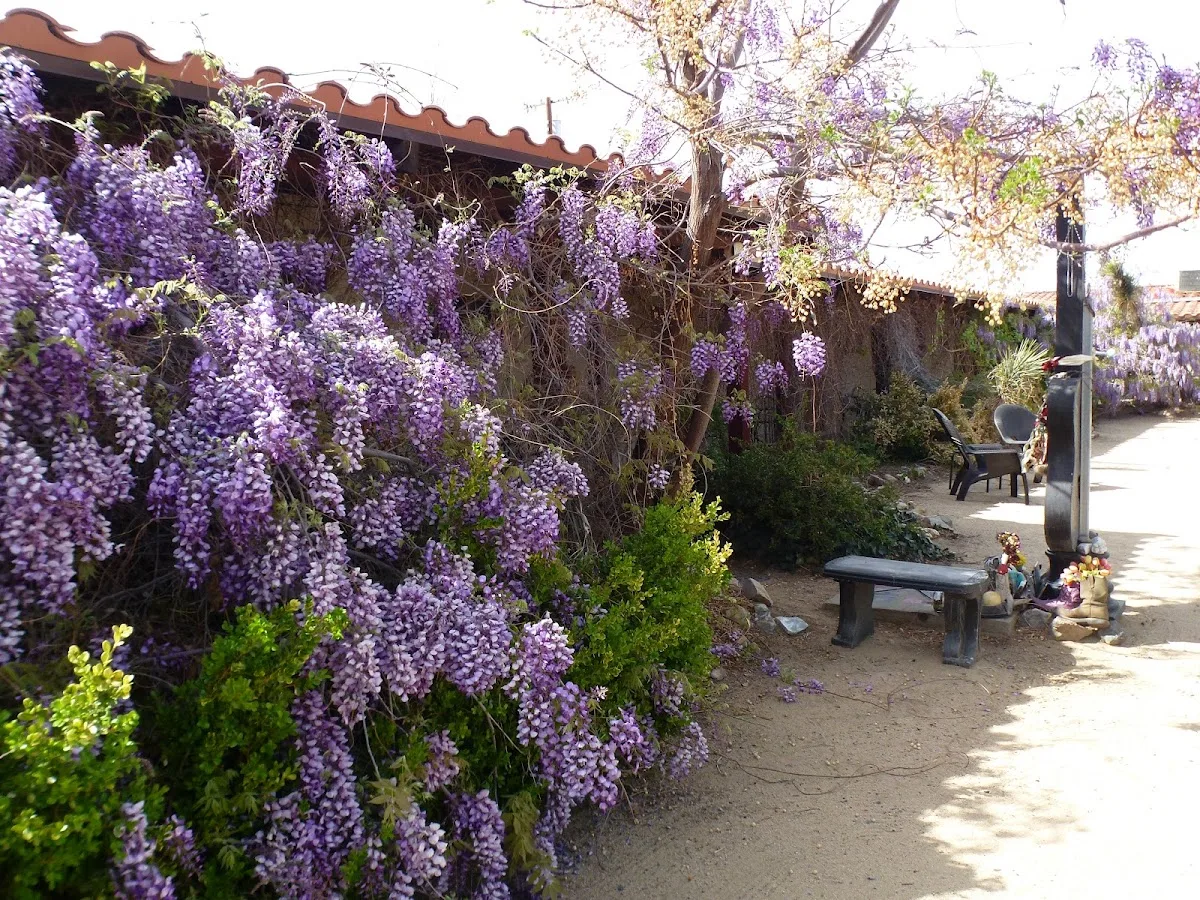Joshua Tree Inn — photo 5 of 5