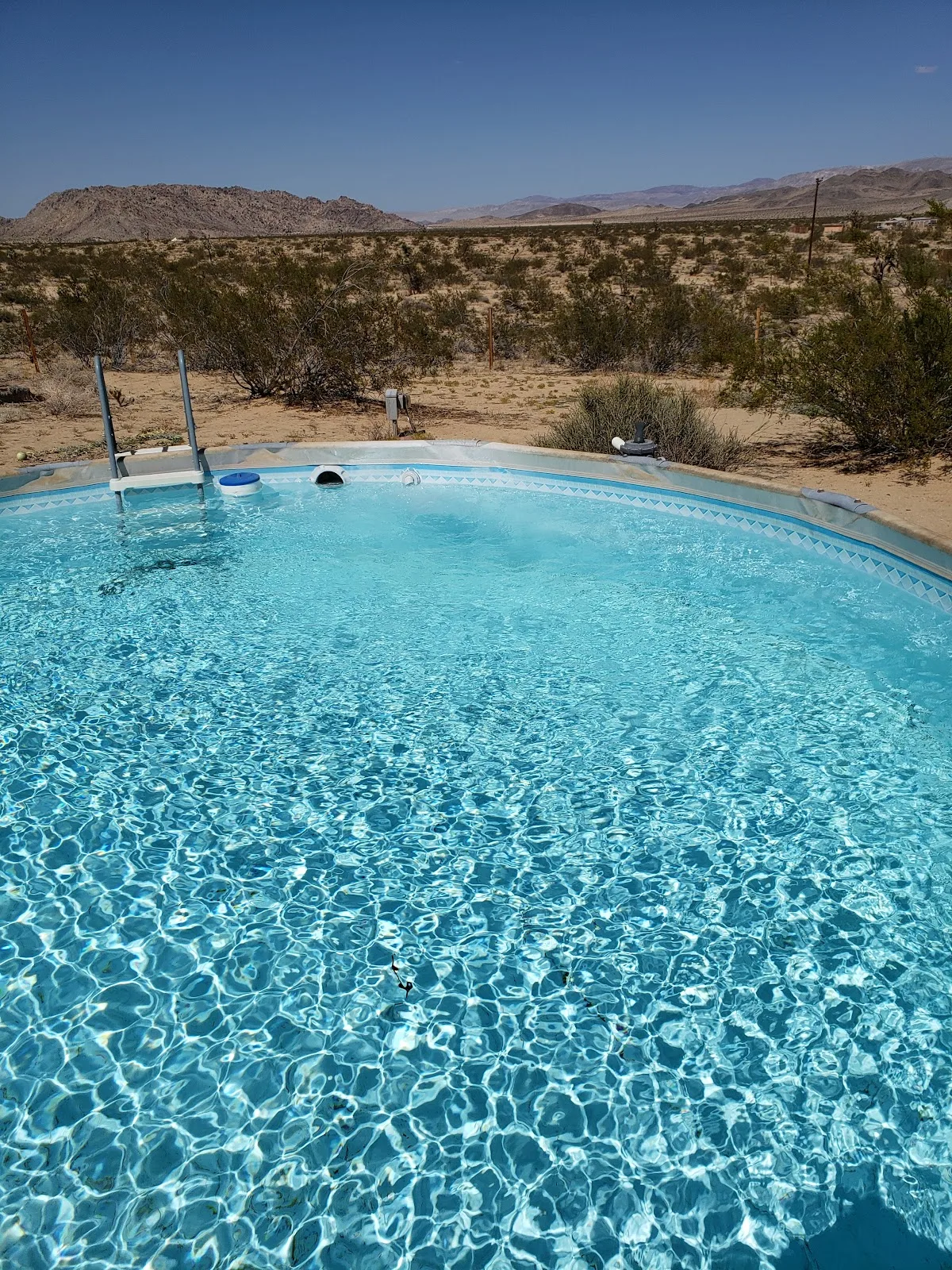 Kate's Lazy Desert — photo 3 of 5