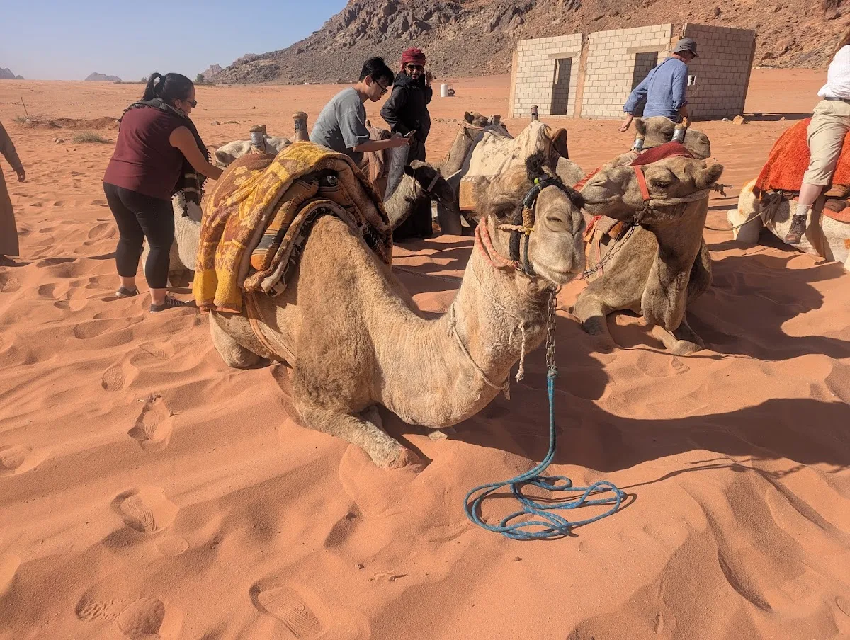 Wadi Rum Nomads — photo 4 of 5