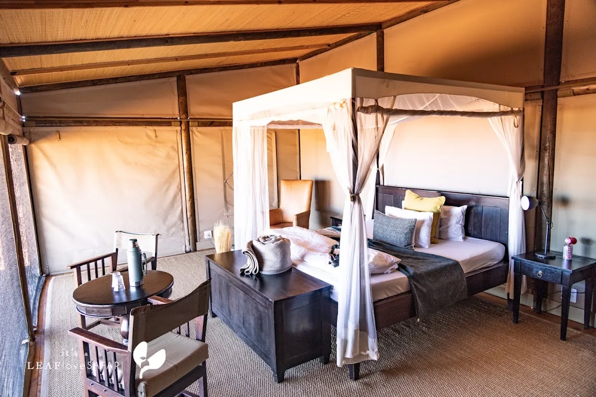 Wolwedans Dunes Lodge — photo 2 of 5