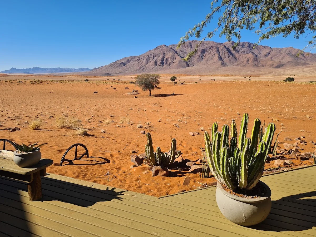 Wolwedans Dunes Lodge — photo 3 of 5